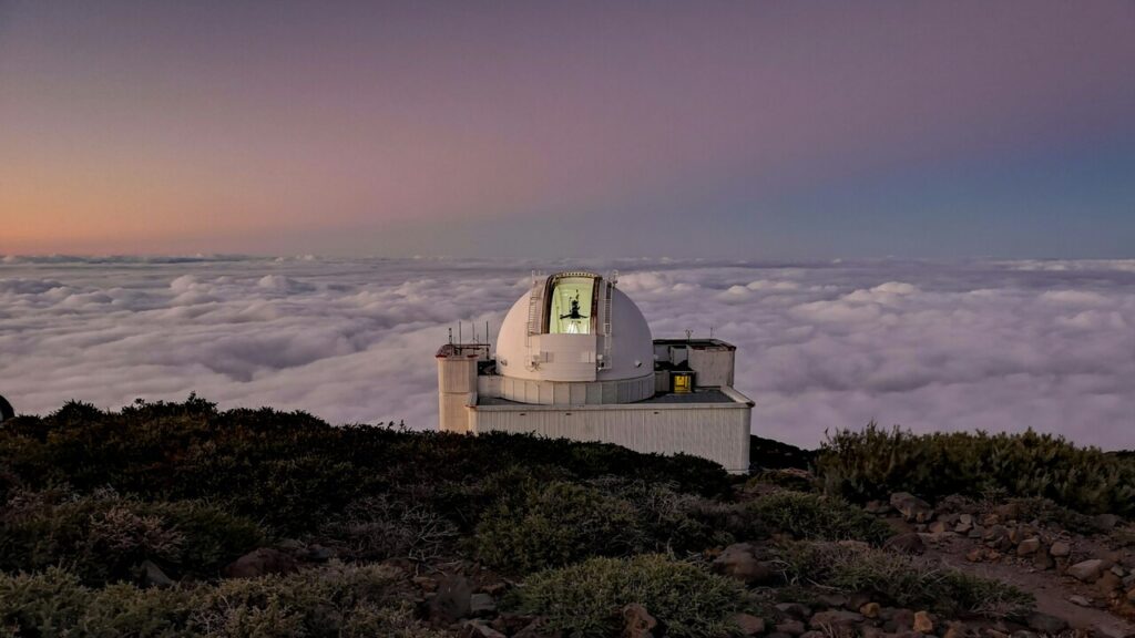 La palma Estrellas