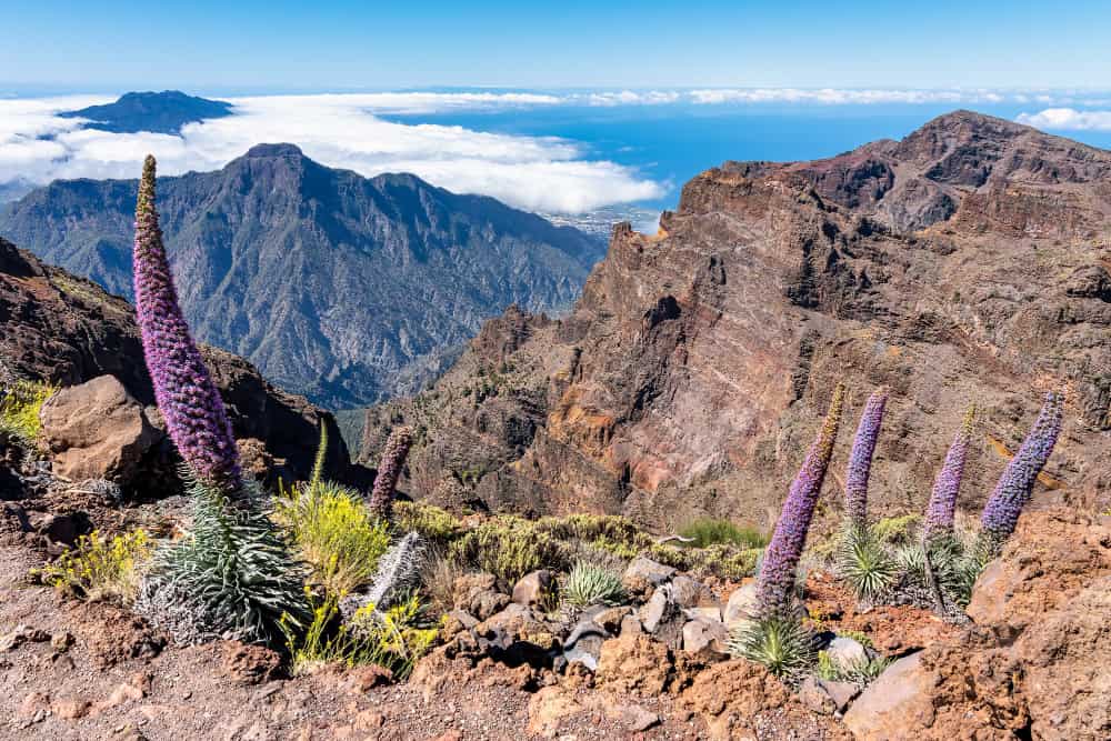 Playas de La Palma - Hacienda De Abajo