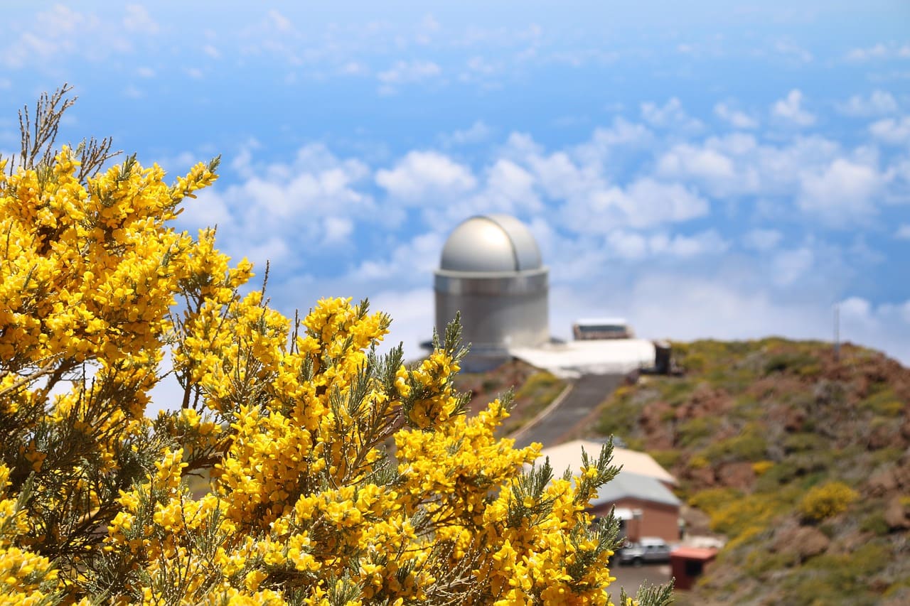 Cómo viajar a La Palma: vuelos, conexiones y ferry para llegar a la Isla Bonita